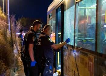 לשימוש חד פעמי