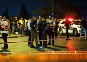 לשימוש חד פעמי