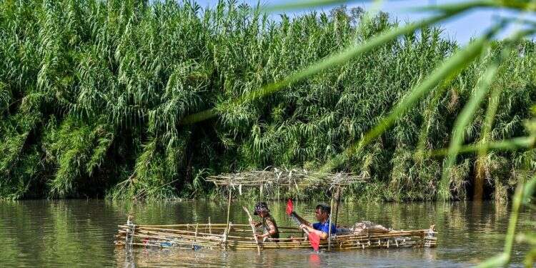 שיט קאנו בנהר הירדן. צילום: מיכאל גלעדי, פלאש 90 אספקת המים מישראל לירדן ולפלסטינים גדלה ב־25 אחוזים