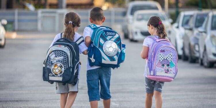 מלכודת השיח הקפיטליסטי: הפסקנו לדבר על מהות בחינוך