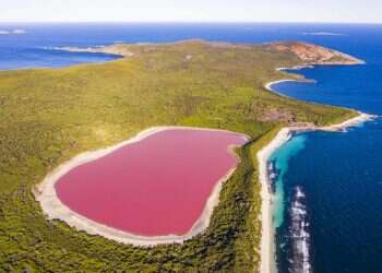 אגם הילייר, אוסטרליה. צילום: גטי אימג'ס ימים ורודים: מי מלח, מיקרו אצה וצבע מים חריג