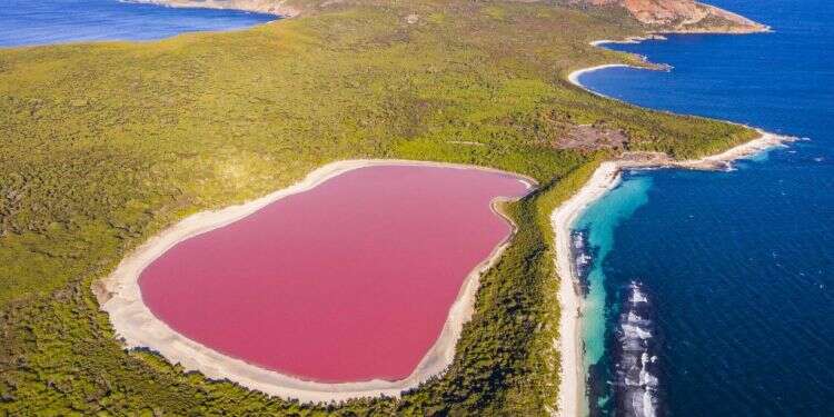 ימים ורודים: מי מלח, מיקרו אצה וצבע מים חריג