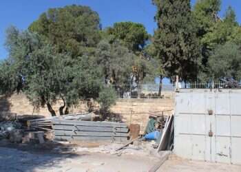 צילום ללא קרדיט