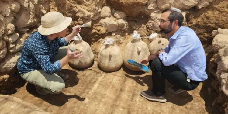 הקנקנים שנחשפו בשילה הקדומה. צילום: דוברות בנימין תגלית נדירה בשילה: קנקנים שלמים בני 2,000 שנה נמצאו בחפירה