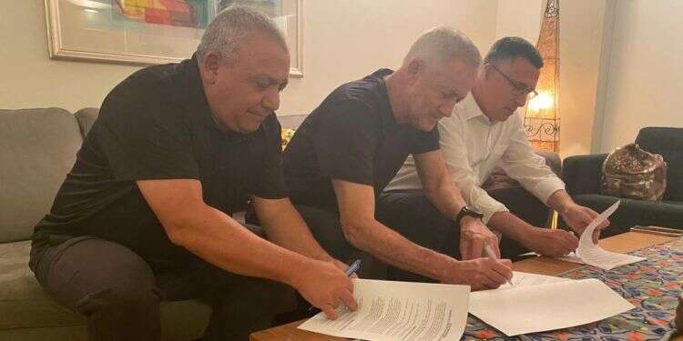 הממלכתיות היא רק האמצעי