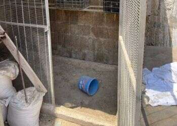 אלימות קשה בעכו: חטפו, היכו והתעללו בחסר בית שסירב לעבוד עבורם