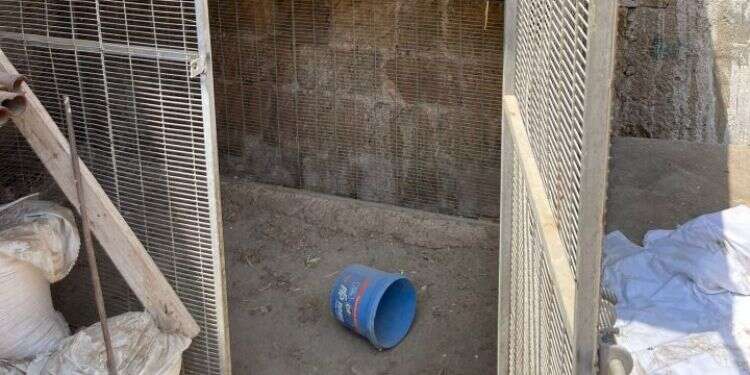 אלימות קשה בעכו: חטפו, היכו והתעללו בחסר בית שסירב לעבוד עבורם