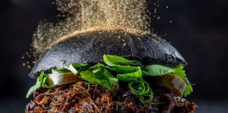 "שגב בר & לאונג'" לא עמד בציפיות אבל בכל זאת סיפק חוויה כיפית