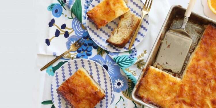 פורטוקלופיטה. צילום: אפרת ליכטנשטט