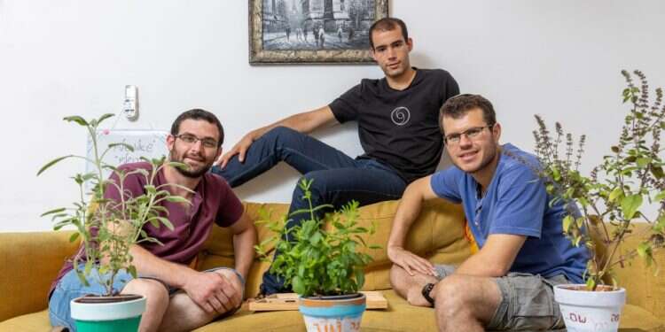 צילום: יוסי אלוני