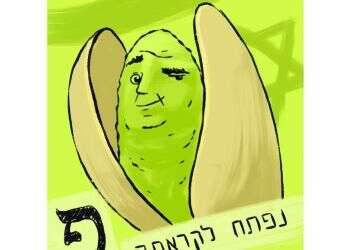 איור: מורן ברק