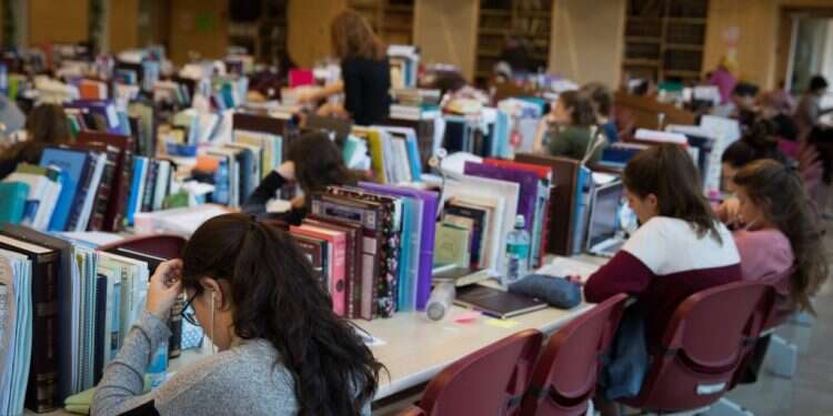 מדרשת לינדנבאום, אילוסטרציה