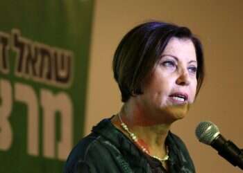 הקרב על מרצ: גלאון וגולן ראש בראש