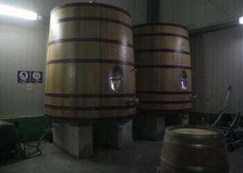 עניין של טעם: בין יין לבן לאדום