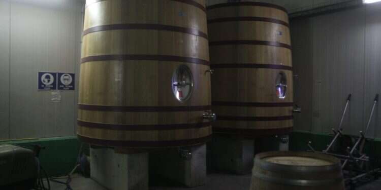 עניין של טעם: בין יין לבן לאדום