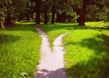 פרשת ראה: לבחור בין ברכה לקללה