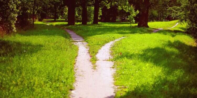 צילום: שאטרסטוק פרשת ראה: לבחור בין ברכה לקללה