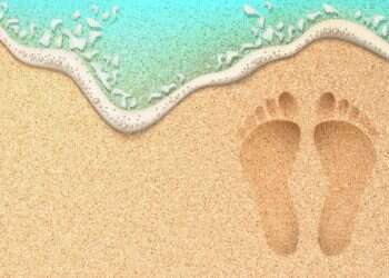 הטריוויה השבועית: עקבות בחול