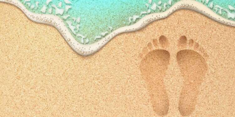 הטריוויה השבועית: עקבות בחול