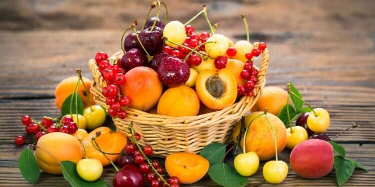 צילומים: שאטרסטוק הטריוויה השבועית: פירות קיץ