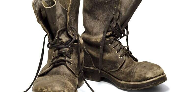 ימי מילואים (י"ד)