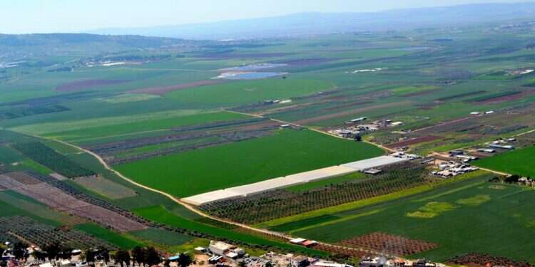בואו לטייל בין שבילי התנ"ך – מגוון הצעות למסלולי תנ"ך לכל המשפחה