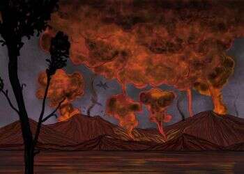 איור: שרון ארדיטי