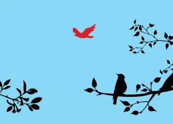 מופרך, אבל זו המציאות: יותר ויותר בעלי דירה לא רוצים שוכרים רווקים