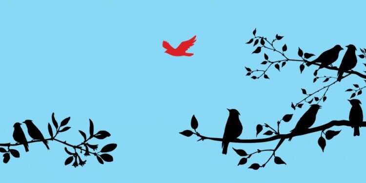 איור: שאטרסטוק מופרך, אבל זו המציאות: יותר ויותר בעלי דירה לא רוצים שוכרים רווקים