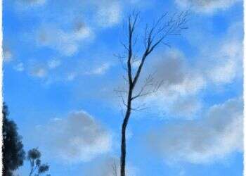 איור: מנחם הלברשטט