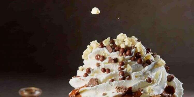 צילום: דרור עינב