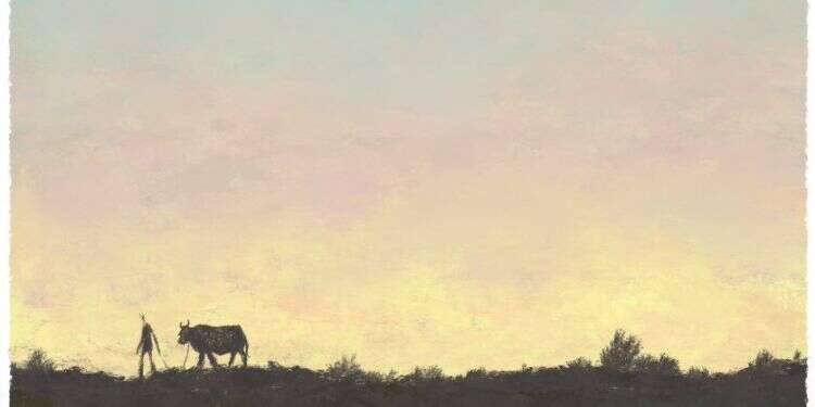 פרשת ראה: גרסת התורה לצמחונות