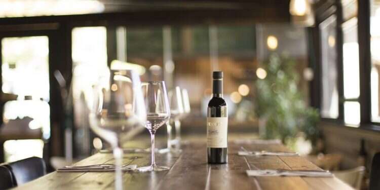 עמק החוויות  המופלאות: פעיליות מומלצות בעמק שילה