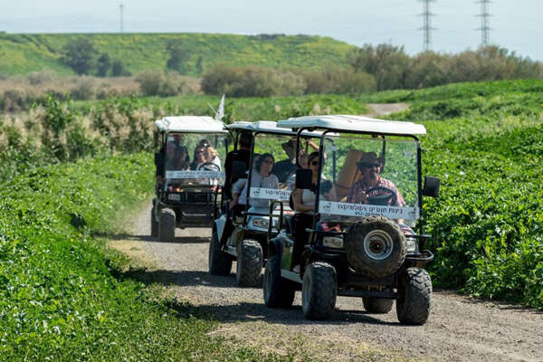 צילום נהריים בגשר