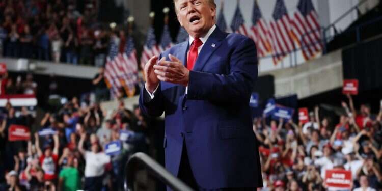 דונלד טראמפ. צילום: AFP צילום: AFP