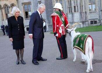 אהובת המלך, אך לא במיוחד אהובת העם הבריטי: מי היא קמילה, המלכה־רעיה?