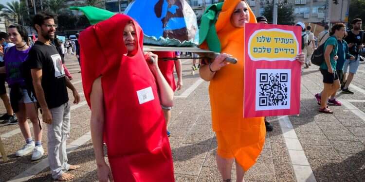 תומך בפה מלא ב