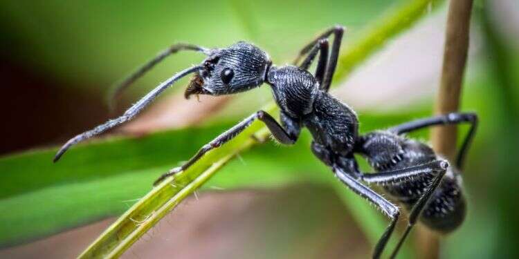 צילום: גטי אימג'ס