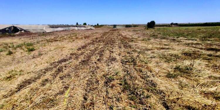 שדה בבני רא