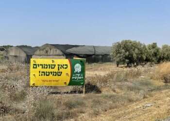 דבר השמיטה או שלטון החוק: בין מרקסיזם למהפכה רוחנית