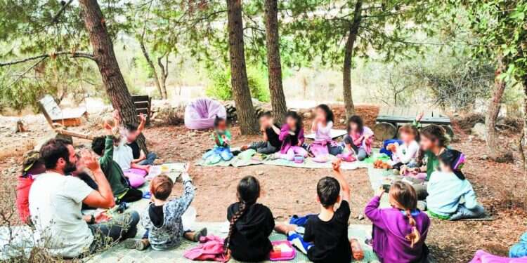 קחו דף ועץ: ביקור בבית ספר יער בלב ירושלים