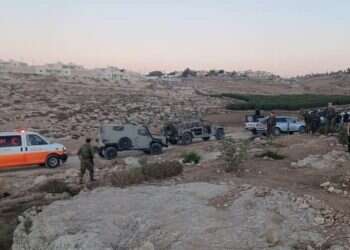 פעילי שמאל משלהבים פלסטינים בהר חברון לפגוע בישראלים