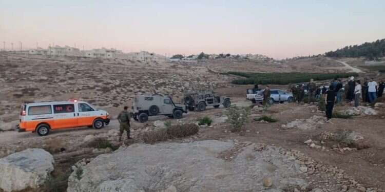 פעילי שמאל משלהבים פלסטינים בהר חברון לפגוע בישראלים