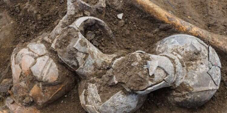 פכיות ופכים ממשפחת בסיס הטבעת שהונחו על גופת המת. בבדיקות נמצאו שרידי אופיום בכלים אלה. צילום: אסף פרץ, רשות העתיקות תעלומה: האם כהני הכנענים השתמשו באופיום כדי להעלות את רוחות הנפטרים?