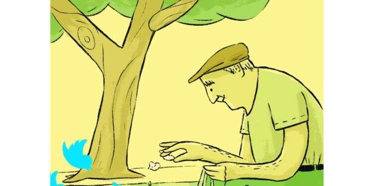 איור: מורן ברק