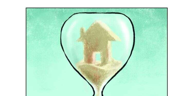 איור: מורן ברק