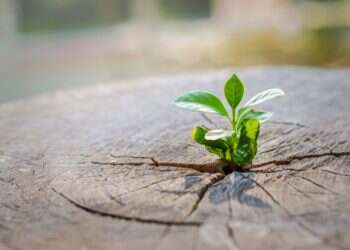 ראש השנה זה לא הזמן להגדיר מטרות