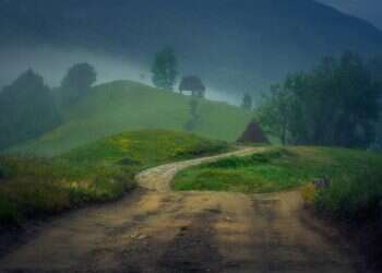 איור יער גשם ערפל כפרי