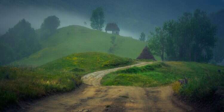 איור יער גשם ערפל כפרי