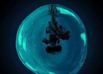 איור: שרון ארדיטי